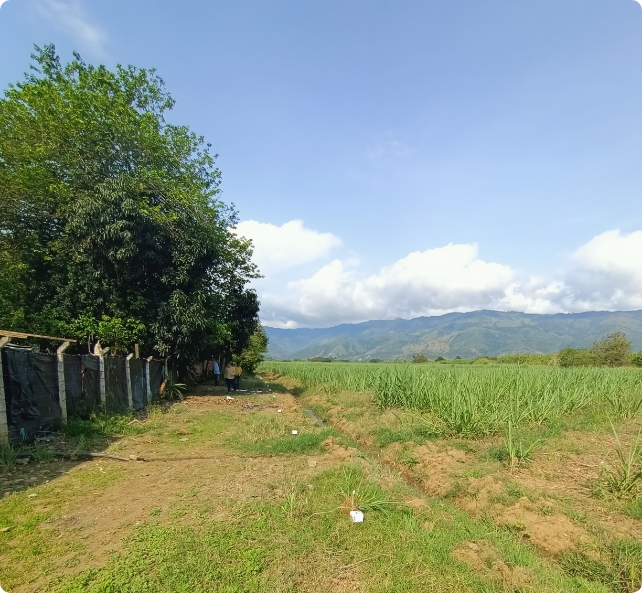 IMG20230226090824